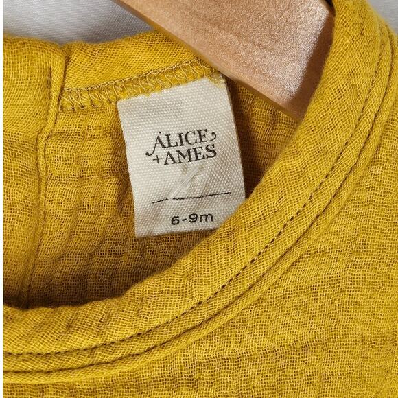 ALICE + AMES BABY GIRL EMMA DRESS – BRONZE – SIZE 6–9 MONTHS – SLEEVELESS – NWT - Picture 3 of 5